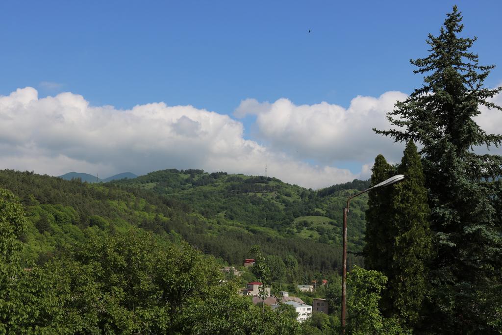 Dilijan Garden House Villa Luaran gambar