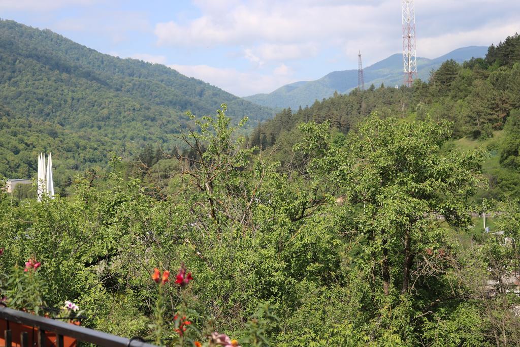 Dilijan Garden House Villa Luaran gambar